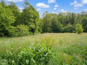 Beautiful new group home with panoramic views