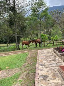 Finca VillaMaria