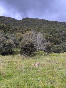 Finca VillaMaria