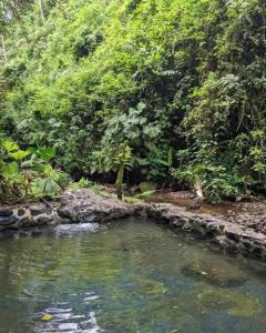 Rustic Jungle EcoLodge Near Arenal Volcano