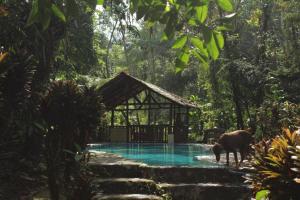 Rustic Jungle EcoLodge Near Arenal Volcano