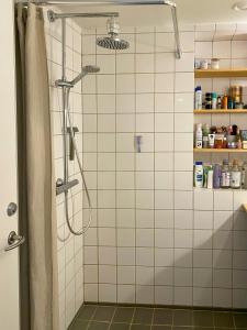 Historic Flat With Balcony In Vesterbro