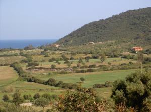 Villino Belvedere img11