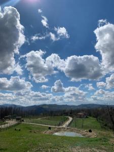 Horse Ranch with amazing mountainous views