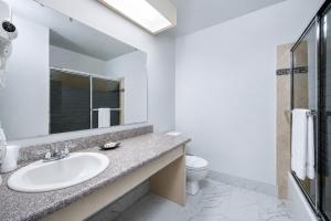 Hotel International