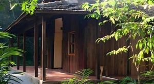 Forest Floor Lodge