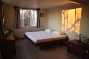 Rustic house near Tsavo - wildlife & sunsets