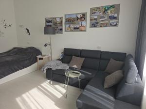 Narva Krenholm 19th Century Apartment