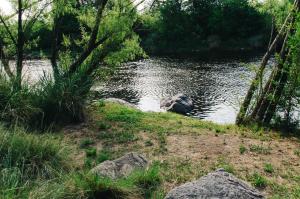 Cabañas Nueve Lunas