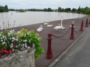 3 stern ferienhaus Gites Lacale face à la rivière Vignonet Frankreich