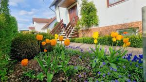 Gemütliches Ferienhaus mit eigenem Garten in Bad Lauterberg im Harz - Idyllisch in der Aue gelegen