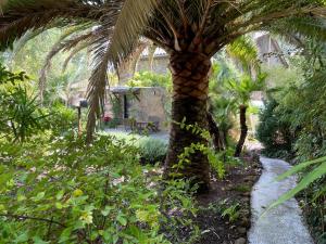 Authentieke charmante vakantiewoning haut provence