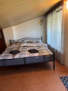 Apartmán Žizníkov