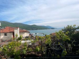 Ohrid Old Town Apartment