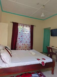 Zimacha Homes