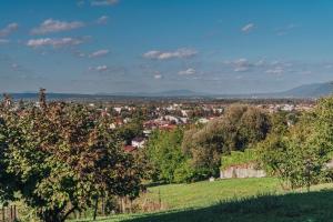 Apartman Slatki Snovi