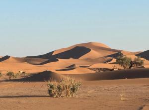 Desert Mhamid