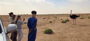 Desert Mhamid