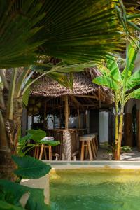 Mlango Paje Villa Boutique