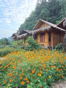 Thích Thì Nhích Farmstay