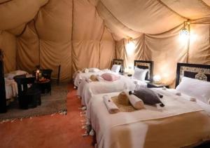 discover luxury camp