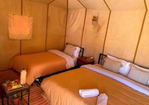 discover luxury camp