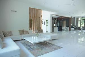 Rare Aura Villa