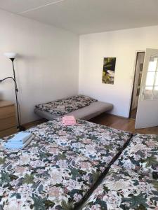 Znojmo Center Apartment 5 Beds