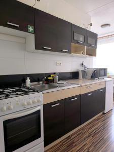 Znojmo Center Apartment 5 Beds