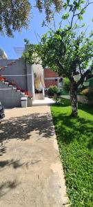 Dema Guesthouse