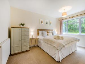 Pine Cottage - Uk46874