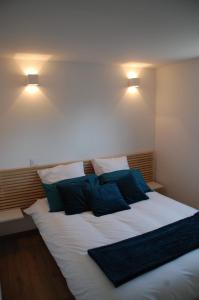 Appartement vue lac Léman