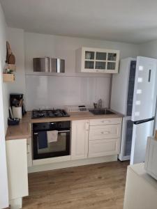 Appartement vue lac Léman
