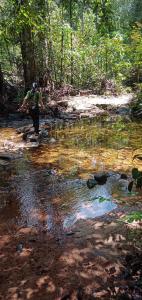 Camping hiking Bird watching makandawa tropical rainforest Kithulgala