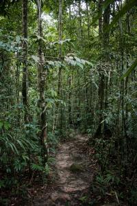 Camping hiking Bird watching makandawa tropical rainforest Kithulgala