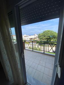 Nelli rooms