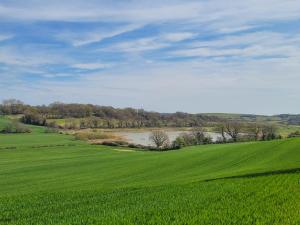 Lakeview Lodge- Uk40692