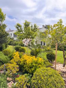 Mema´s Maisonette!
