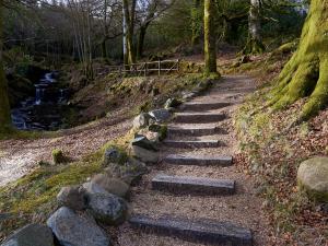 The Byre - Sxxg