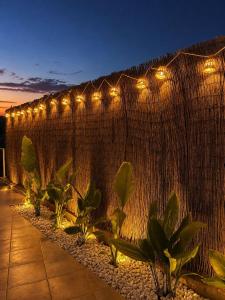 Casa Almalio