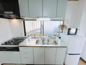 Lumi house 101