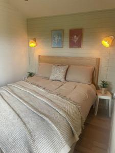Selkie Hillhouse Glamping POD