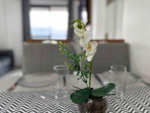 Litoral com Conforto: Vista Mar e Brisa Leve