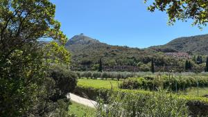 Dimora degli Ulivi