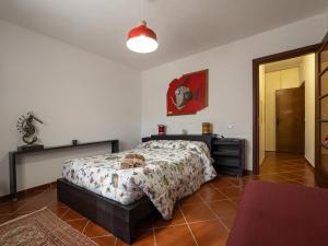 I relitti del Conero