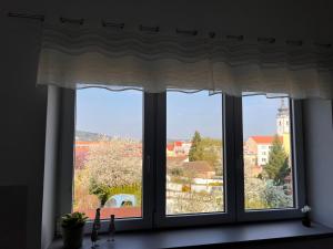 Apartmán U Parku Písek