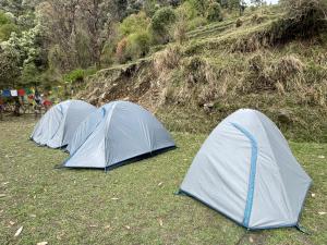 Ara Camps