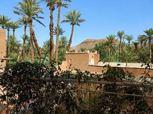 Riad Dar Zaouia