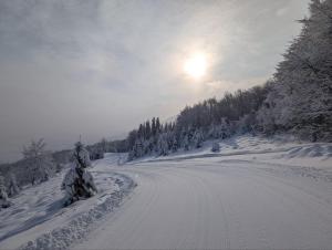 SoTA SKI