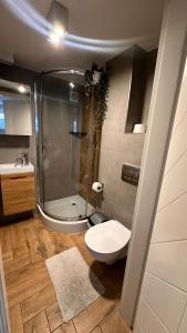 Apartamenty W Domu DeLux
